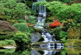 Скачать бесплатно заставку "Лесной водопад"